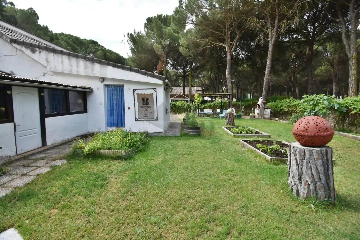 Jardín de Casa o chalet en venta en Olmedo con Calefacción, Jardín privado y Piscina comunitaria