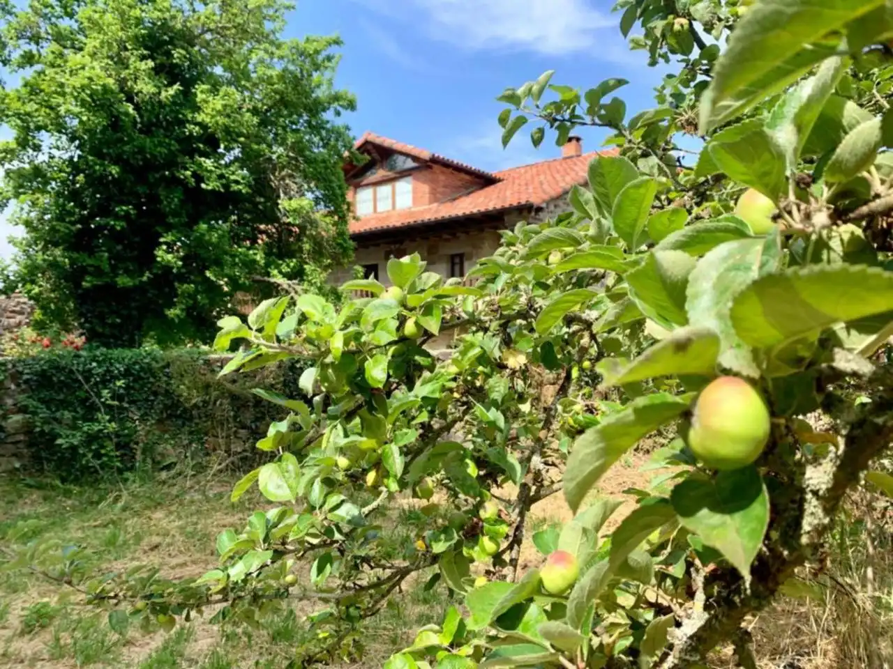Jardín de Casa o chalet en venta en Arija con Calefacción, Jardín privado y Terraza