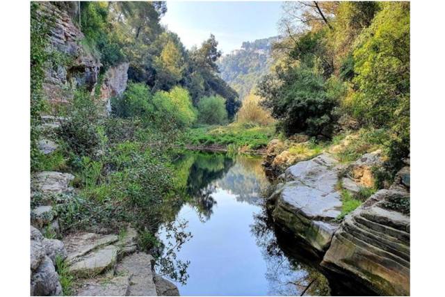 Terreno en Alquiler en Camí Arenes en Airesol