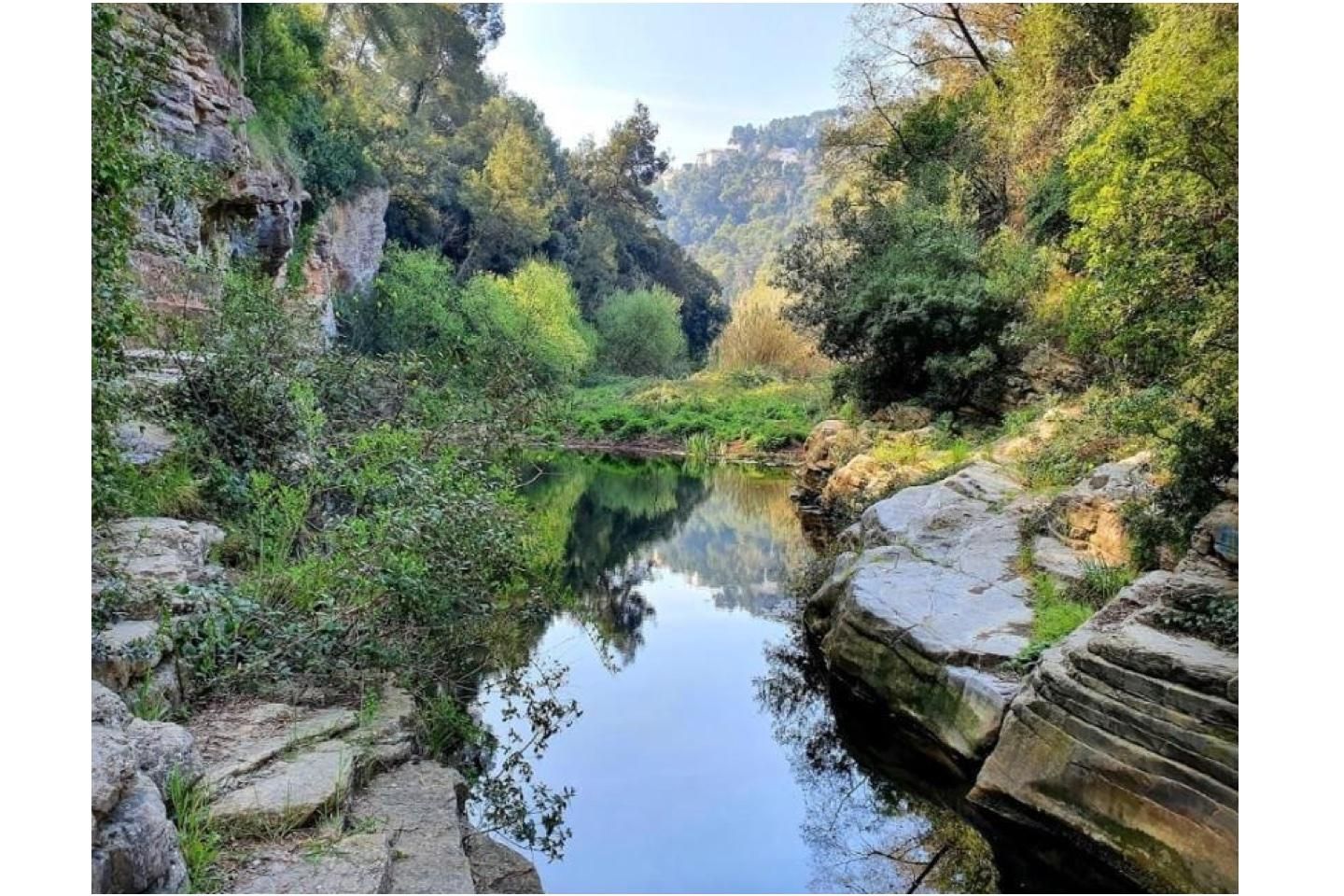 Land to rent in Camí Arenes, Airesol