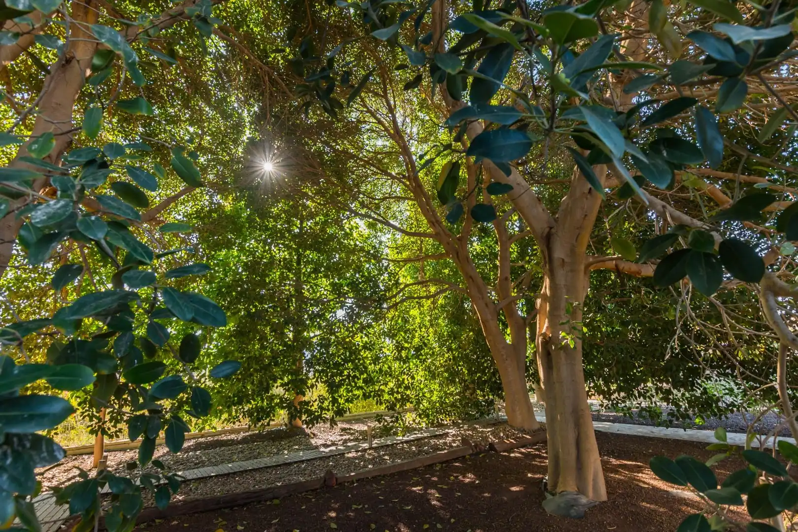 Chalet con piscina en venta en Pedanías Este, imagen 65