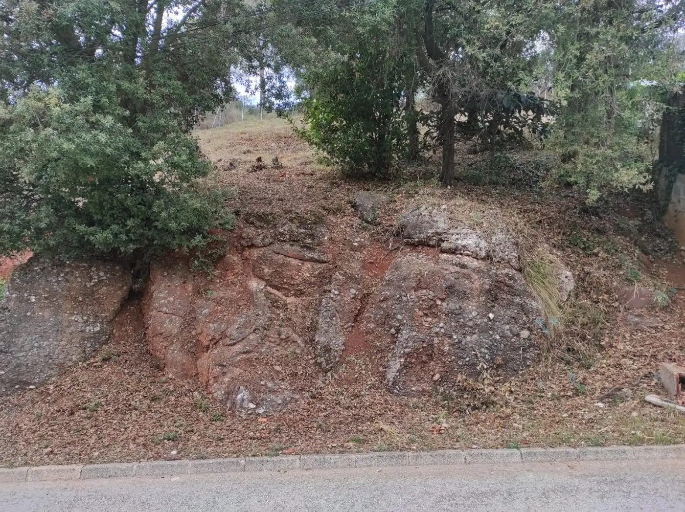 Residential land for sale in Carrer Baumes