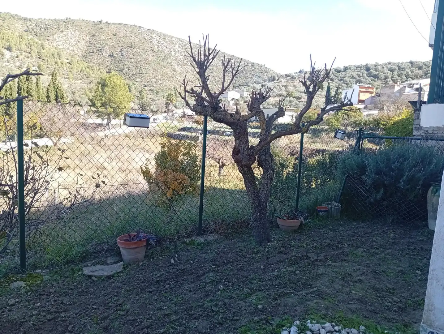 Jardín de Finca rústica en venta en Castell de Castells con Jardín privado