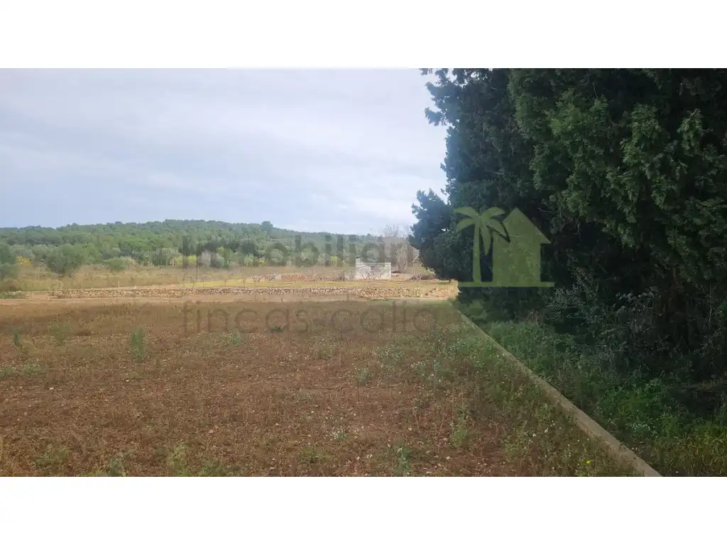 Wohnbaugrundstück zum Verkauf in Ulldecona, imagen 13