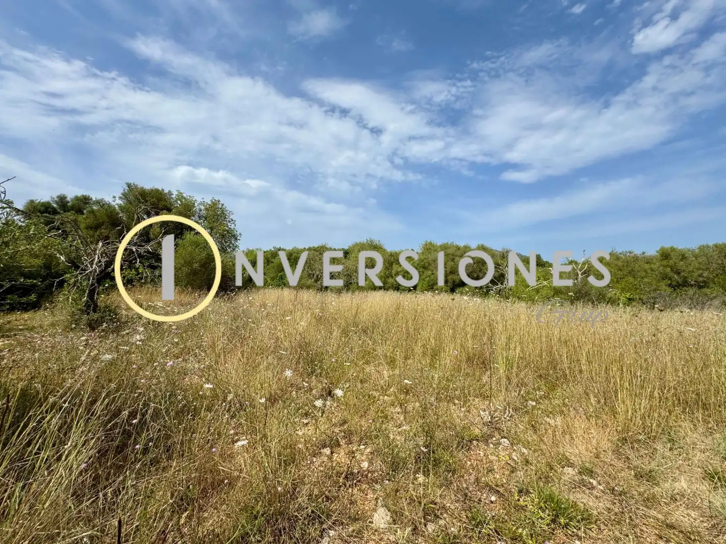 Rural land for sale in Polígono Son Pi, imagen 6