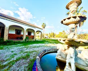 Finca rústica en venda a  DISEMINADO, Bollullos de la Mitación