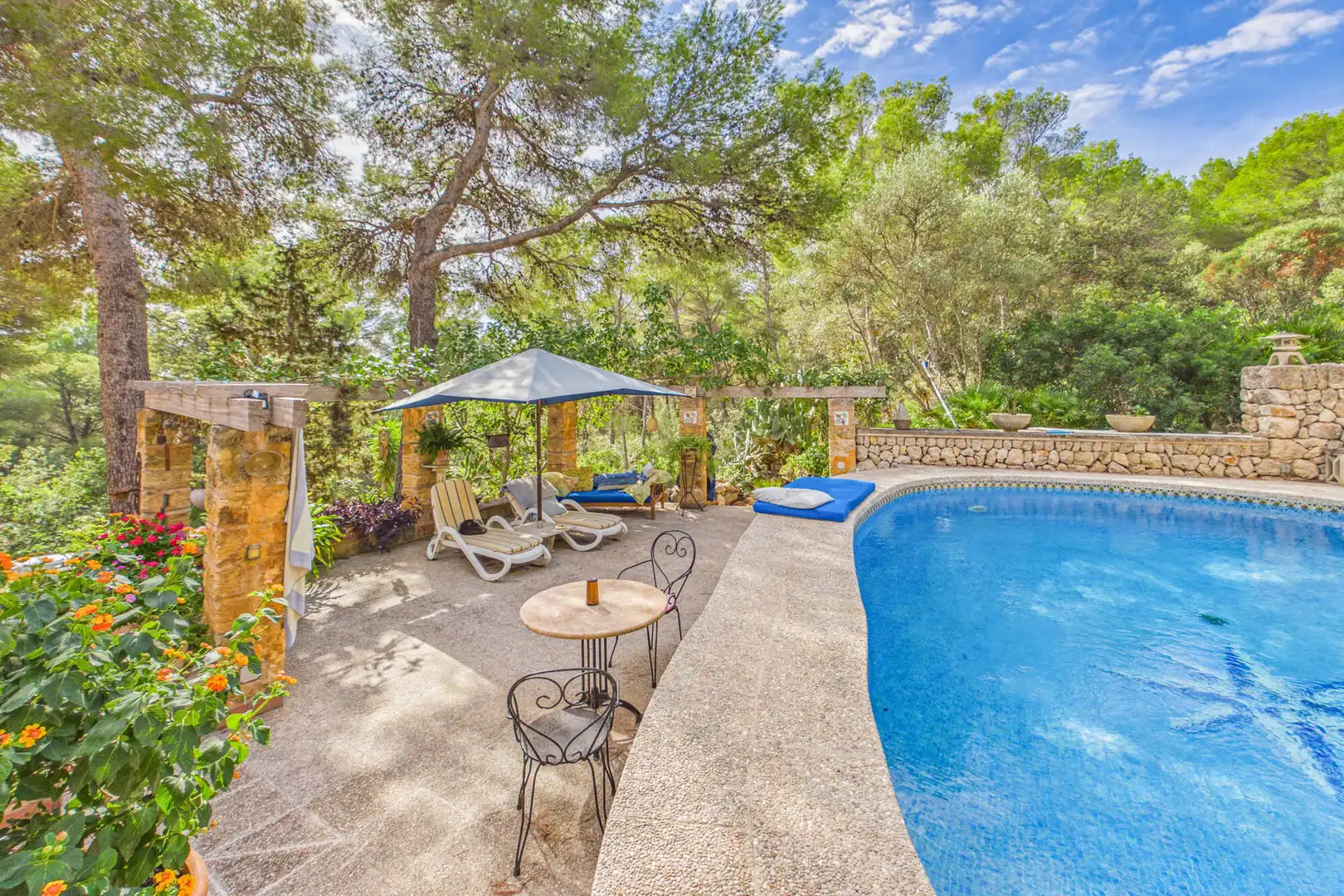 Piscina de Finca rústica en venta en Cala Ratjada