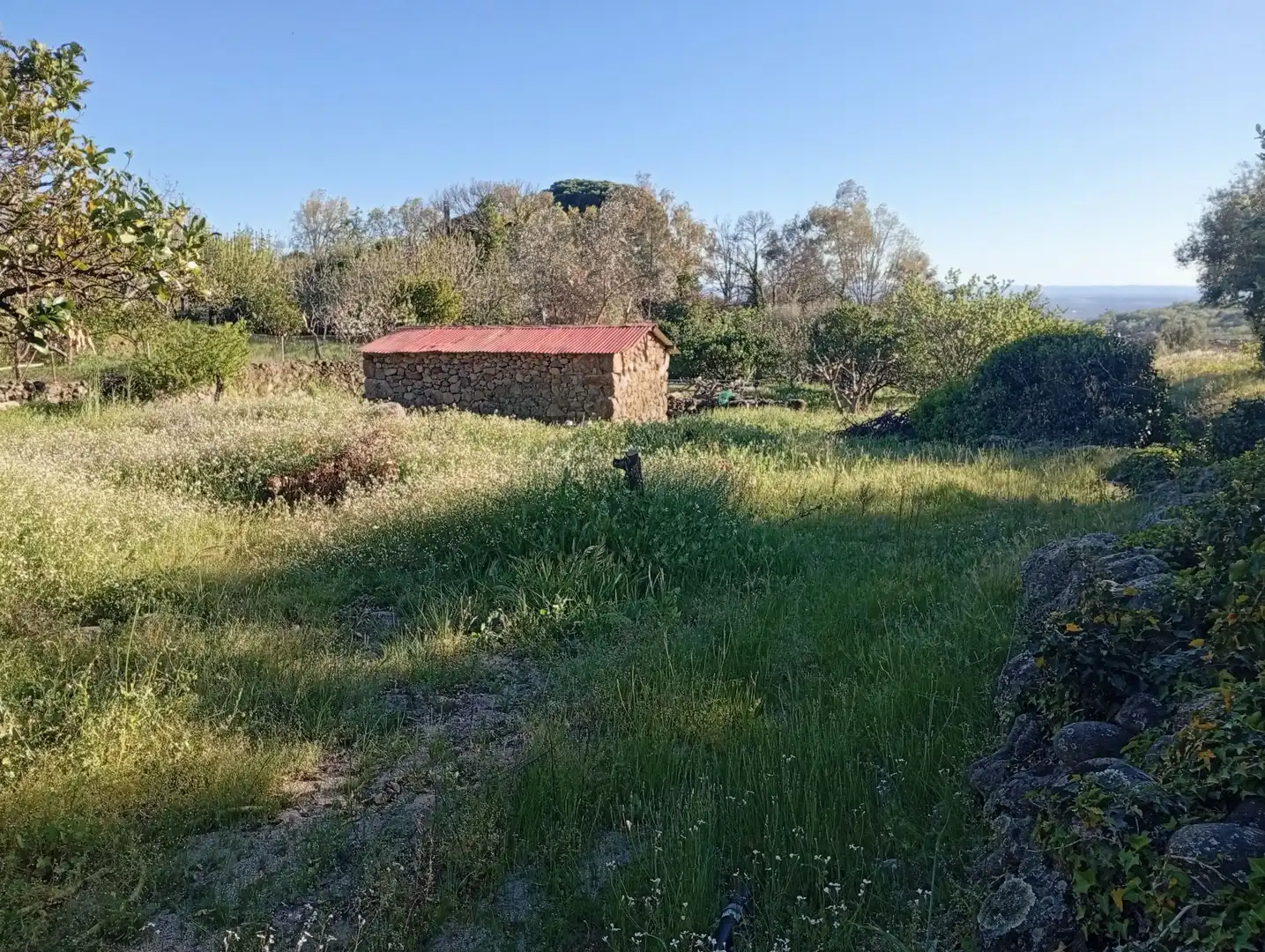 Terreno en venta en Valverde de la Vera