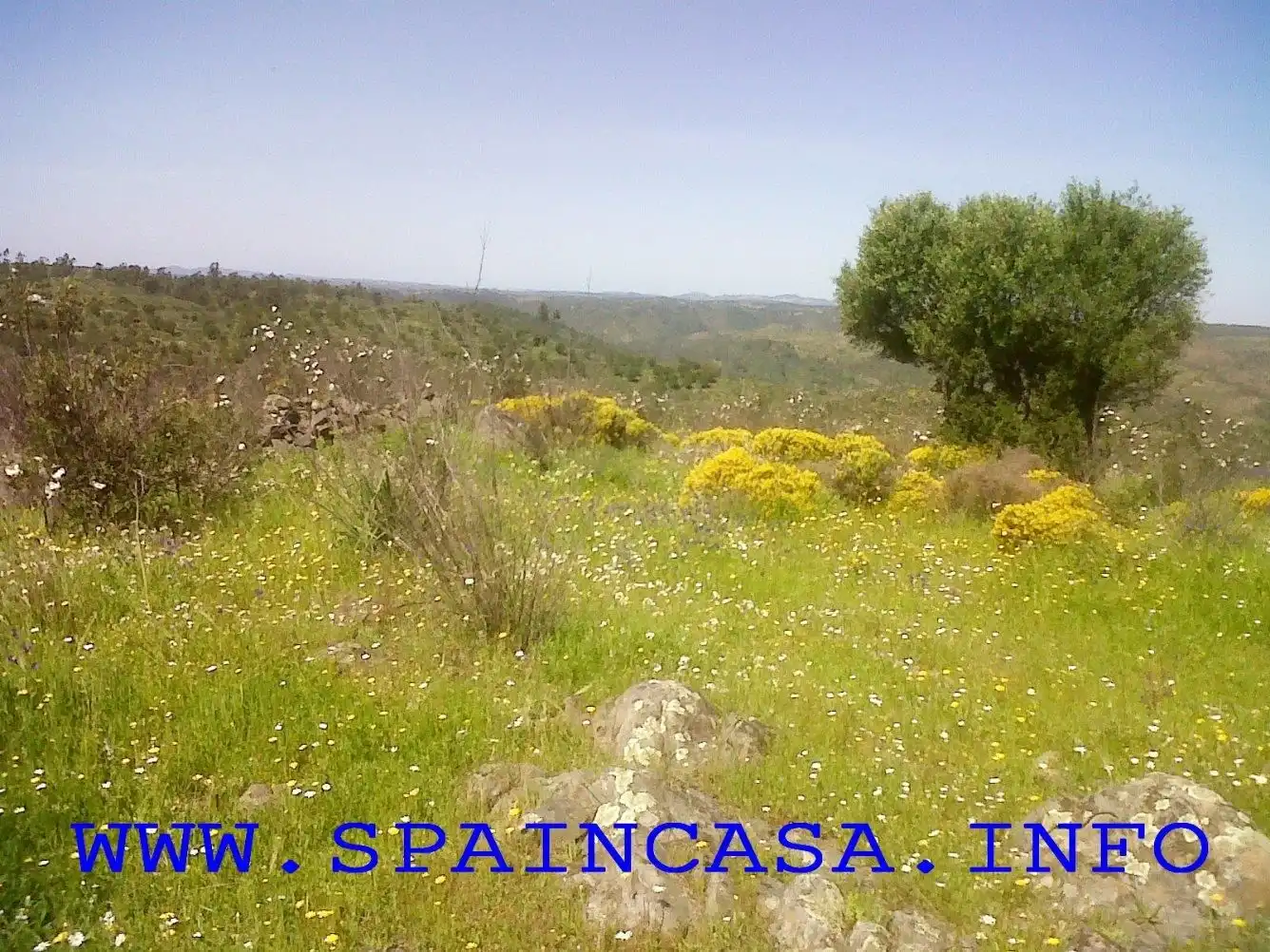 Terrenys i solars en venda a Beas, imagen 5