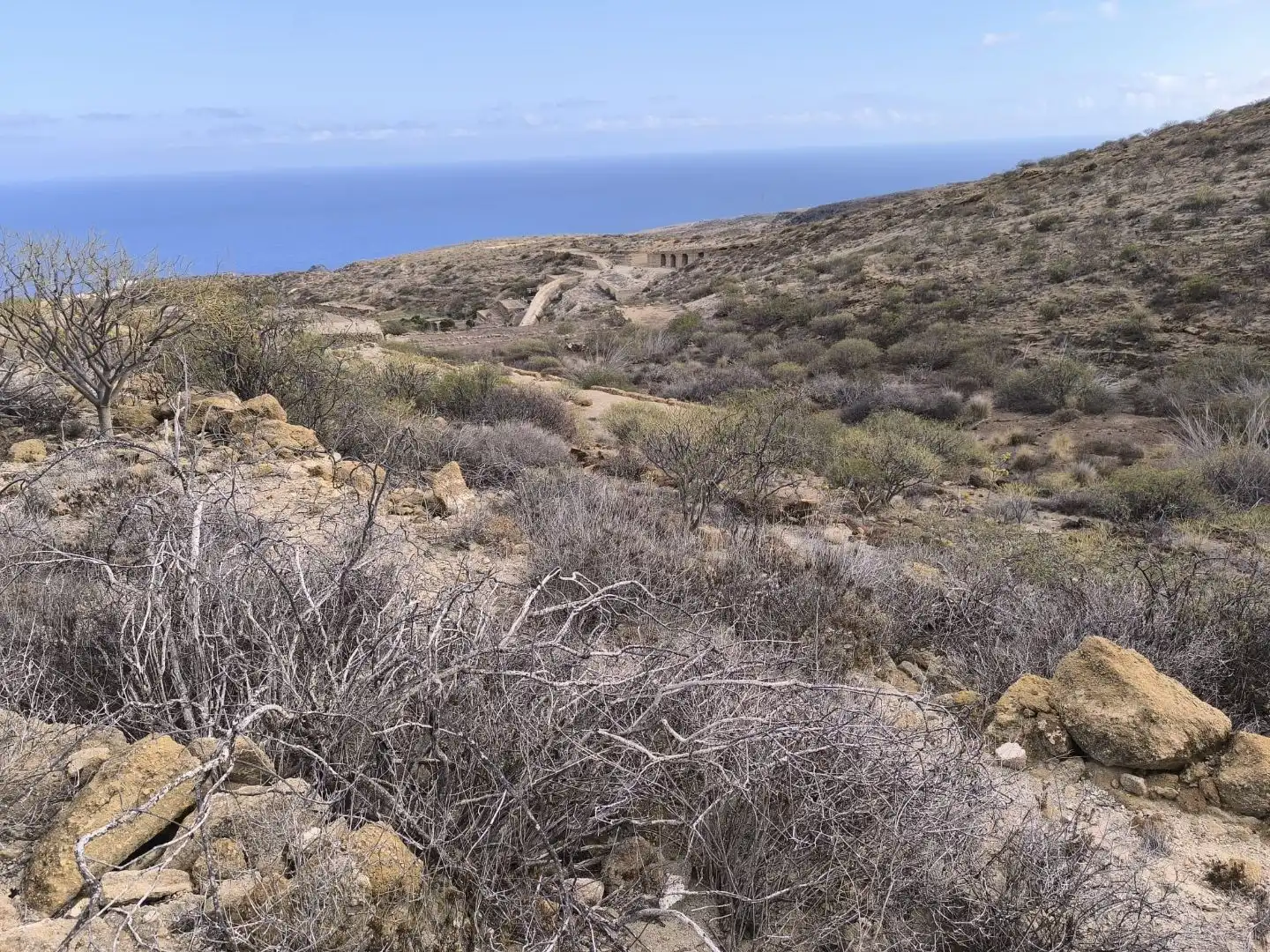Land for sale in Fasnia