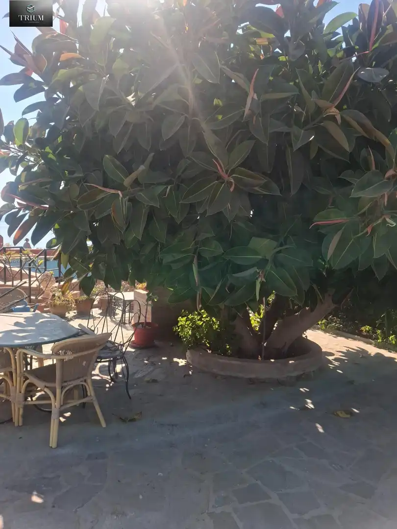 Jardí de Casa o xalet en venda en Almuñécar