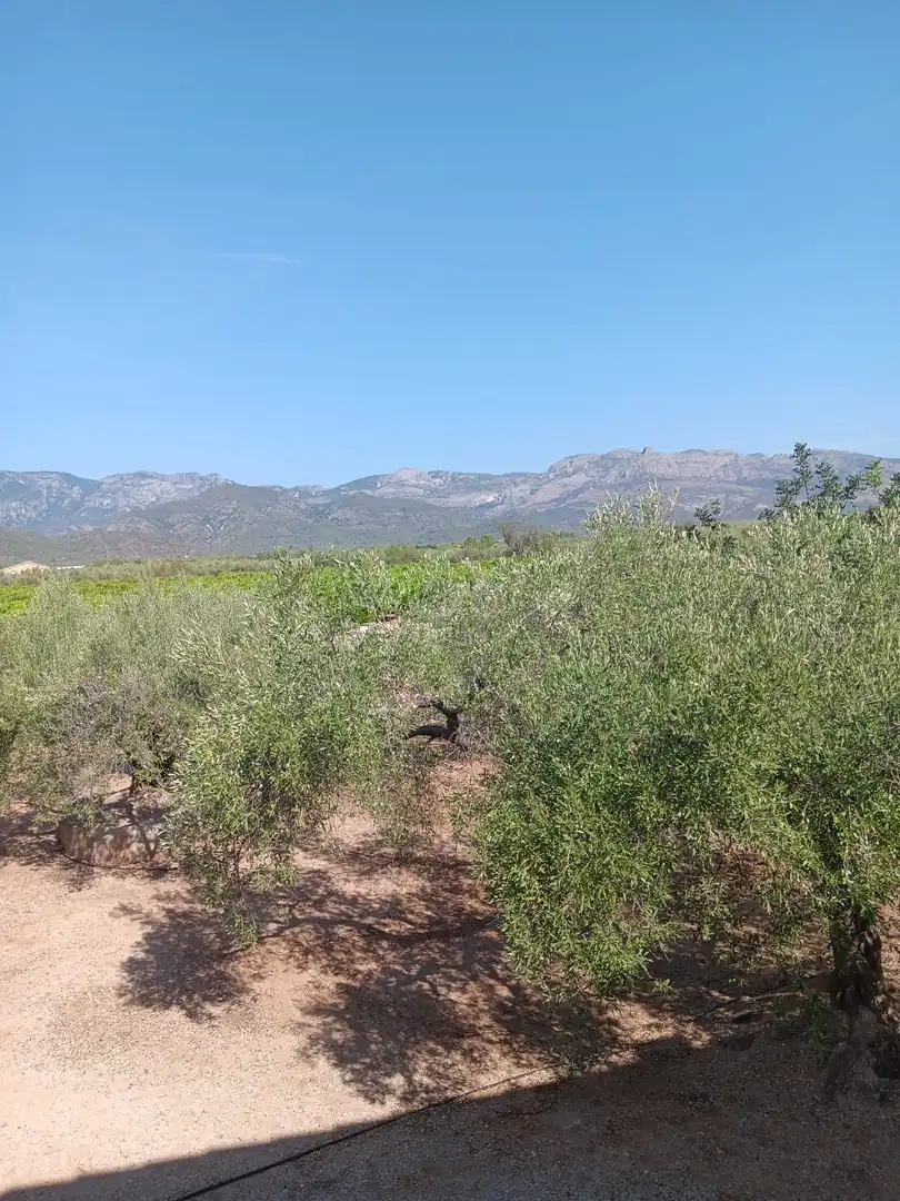 Lands and plots for sale in Roquetes, imagen 40