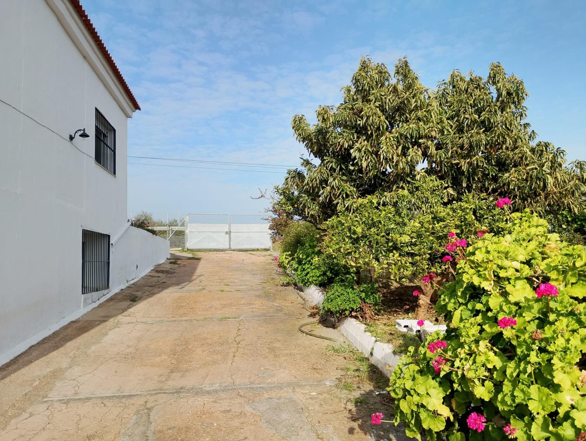 Garden of House or chalet for sale in Gibraleón  with Air Conditioner