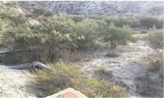 Terreno en venta en Santa Cruz de Marchena
