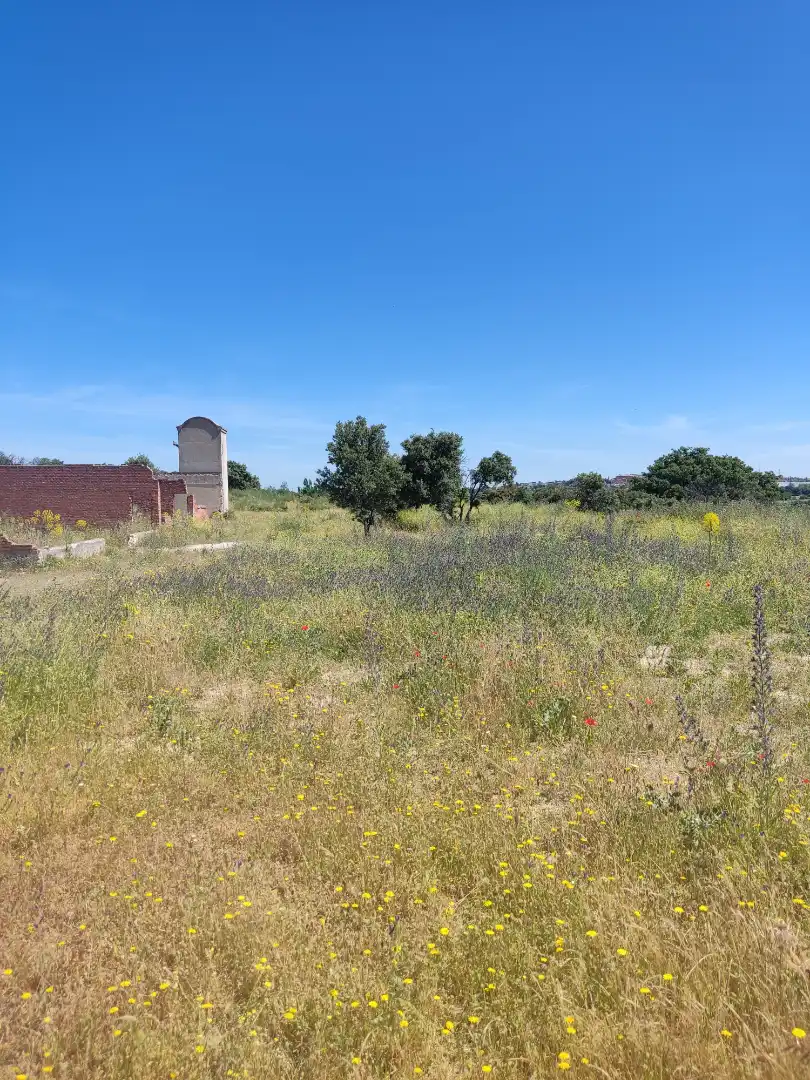Land for sale in Navalcarnero