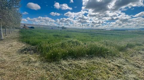 Foto 5 de Casa o xalet en venda a Calle Plaza, Padiernos, Ávila