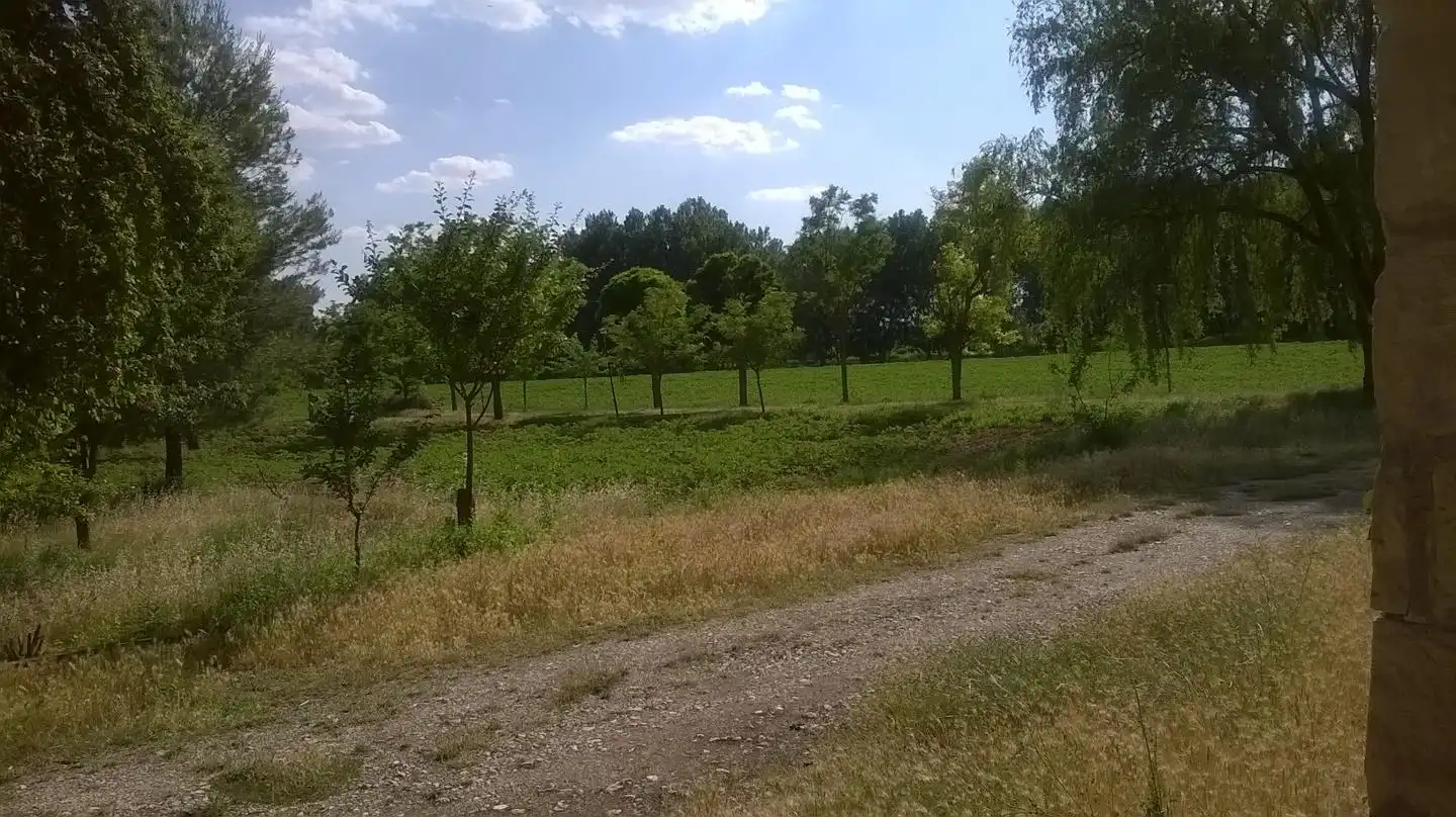Grundstücke und Bauplätze zum Verkauf in Torrejón del Rey, imagen 15