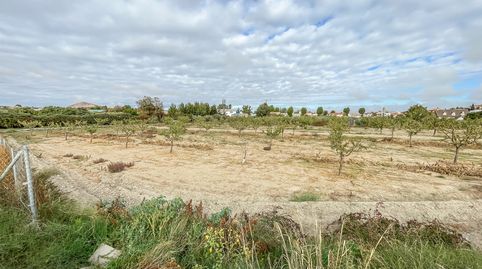 Foto 2 von Grundstücke zum Verkauf in Camino Durcal, 10t, Carretera de Granada - La Alcazaba, Alhendín