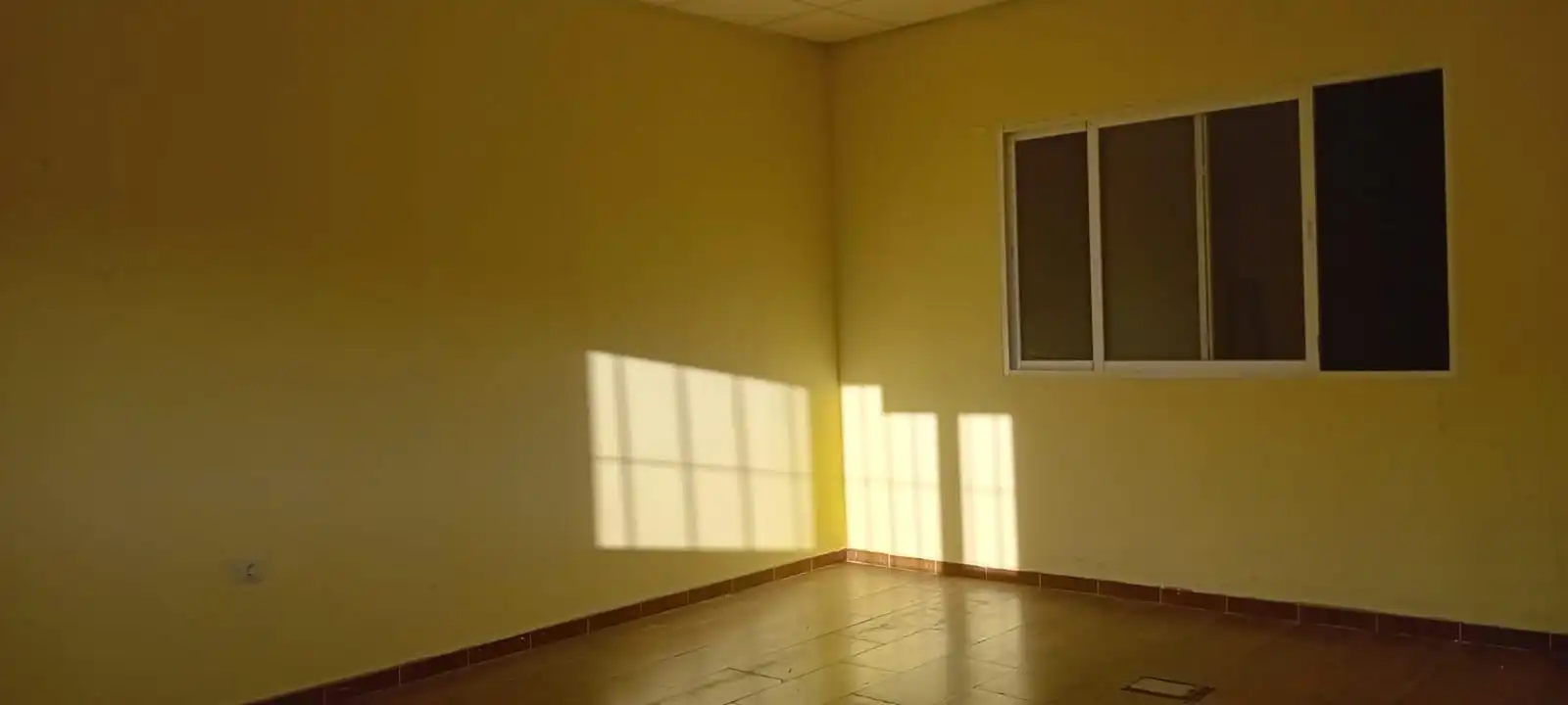 Industrial building to rent in Estación - Cruz Roja, imagen 7