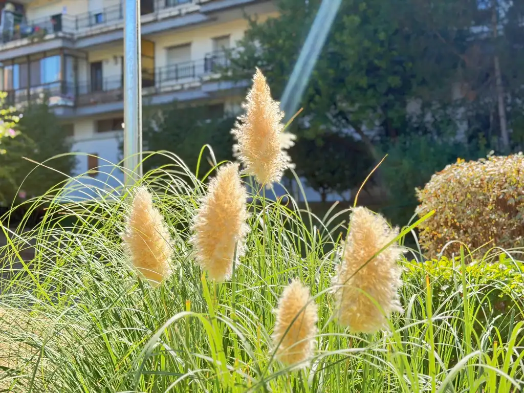 Wohnung mit Pool zum Verkauf in Parque de la Coruña - Las Suertes, imagen 54