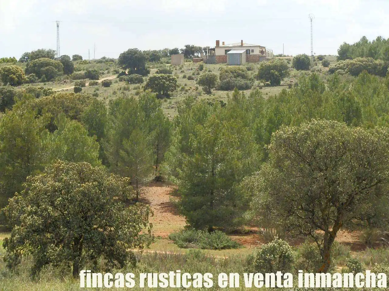 Terreno rustico in vendita a Ruidera, imagen 23
