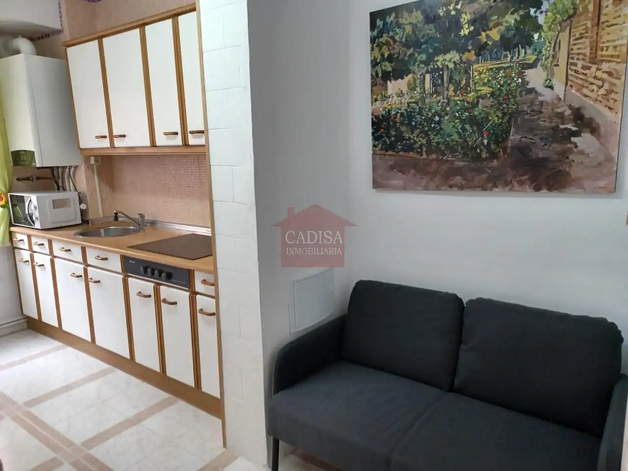 Sala d'estar de Pis per a compartir en Salamanca amb Calefacció i Moblat