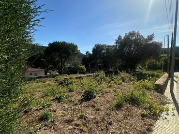 Terrenos y solares en venta en DE LA GRALLA