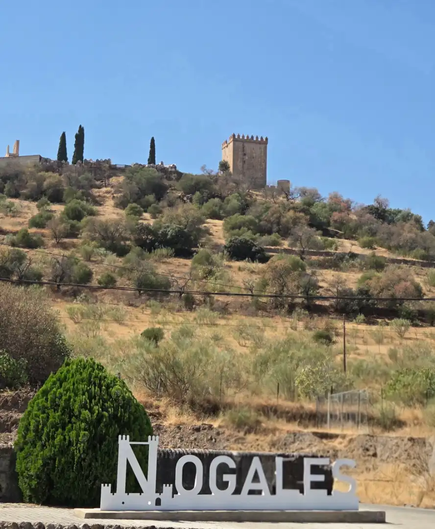 Casa adosada en venta en Calle San Cristóbal, Nogales