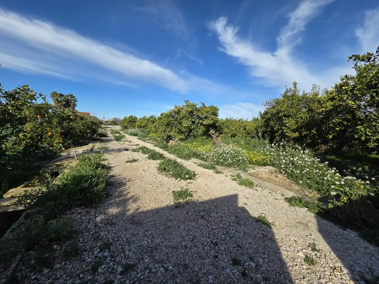 House for sale in Las Torres de Cotillas, imagen 17
