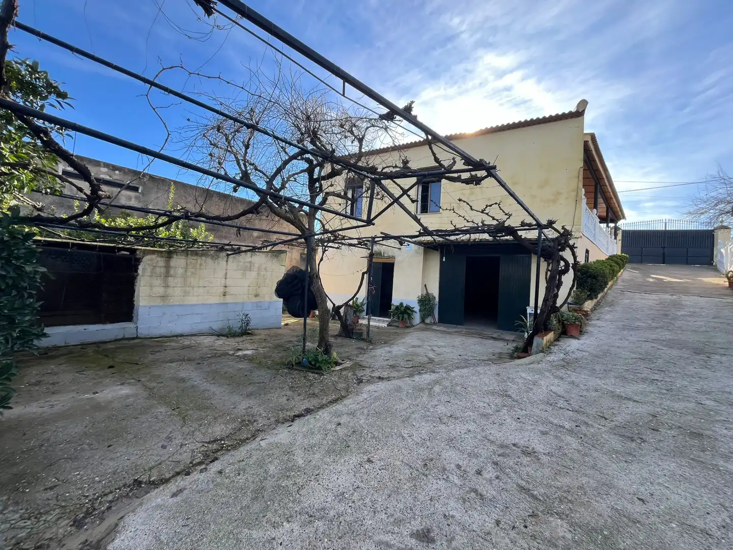 Vista exterior de Finca rústica en venta en Palma del Río con Calefacción, Jardín privado y Terraza