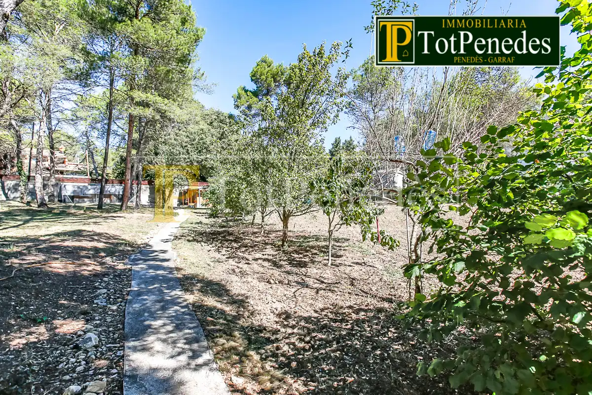 Terreno residenziale in vendita a Carrer David, imagen 3