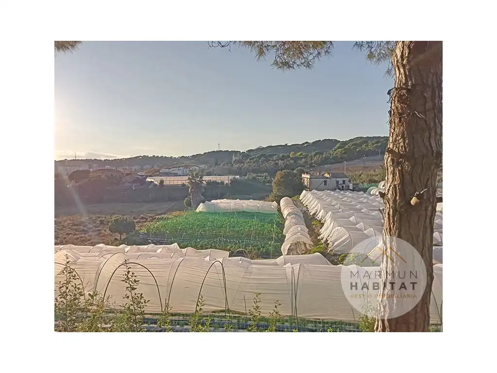 Casa rústica en venta en Sant Cebrià de Vallalta, imagen 7