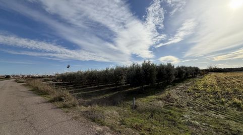 Santa AmaliaTerreno, immagine 4