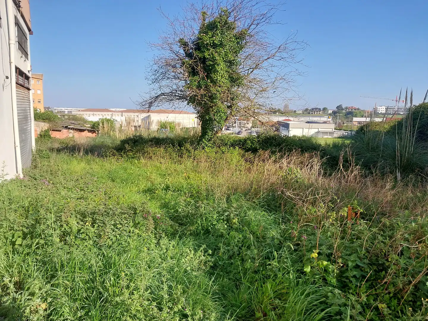Terreni e lotti in vendita a ALBERICIA, imagen 9