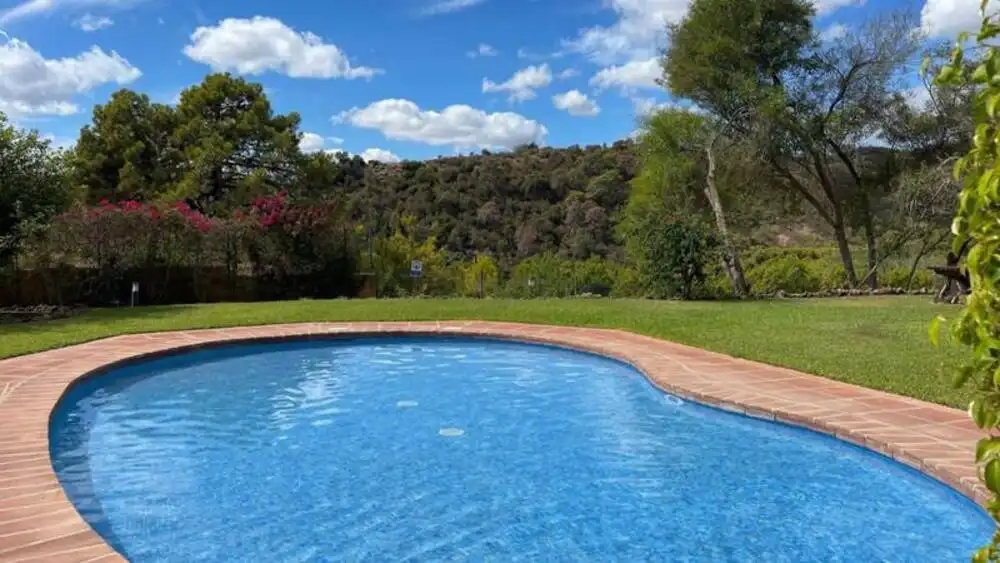 Piscina de Apartament de lloguer en Selwo