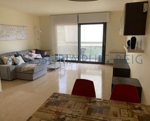 Living room of Single-family semi-detached for sale in Puig-reig  with Terrace and Balcony