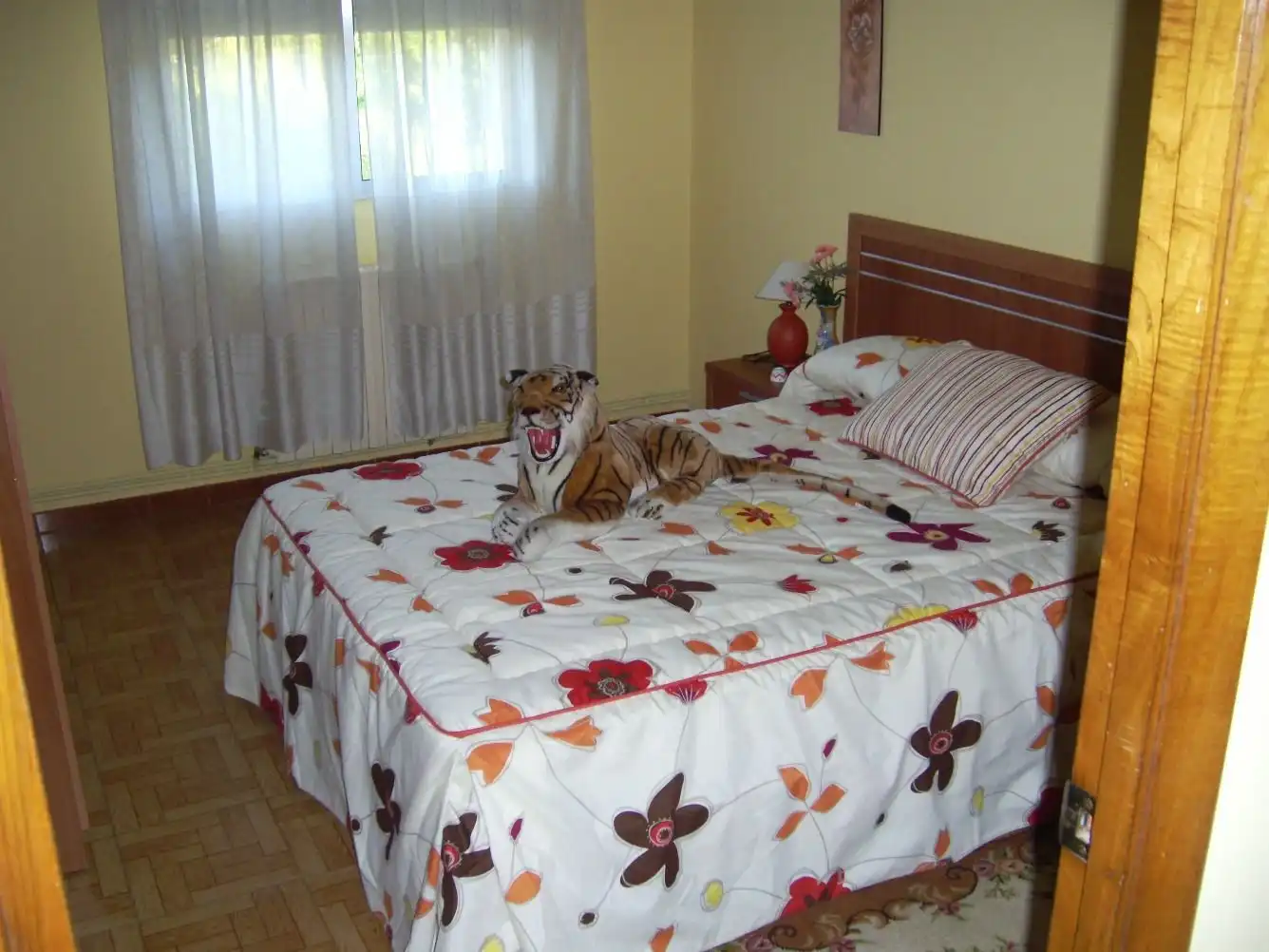 Haus zum Verkauf in Rúa Gabino Bugallal, imagen 49