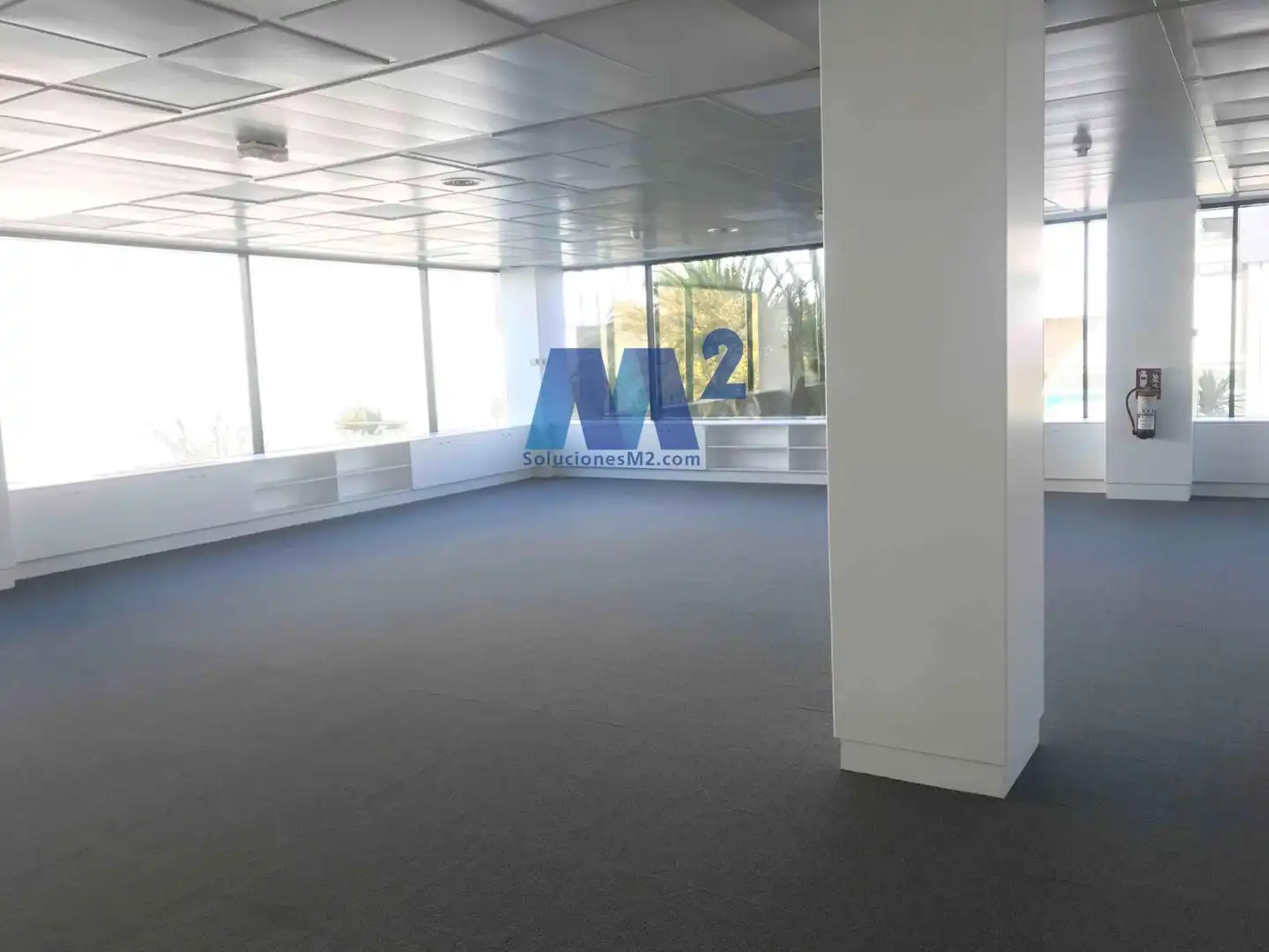Office space to rent in Europa, imagen 2