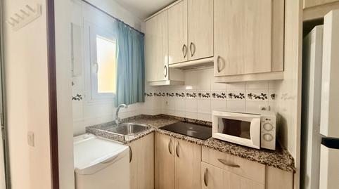 Foto 5 de Estudi de lloguer a Paseo Marítimo - San José - La Laguna,  Cádiz Capital