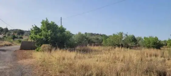 Rural land for sale in Pt Paraje Bolavar, imagen 6