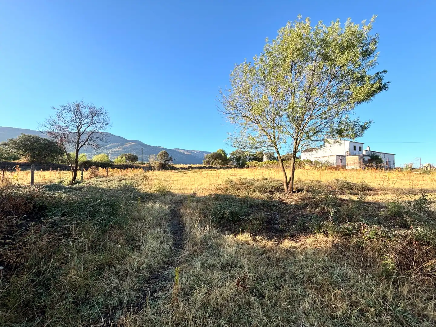 Casa o xalet en venda en Zarza de Granadilla