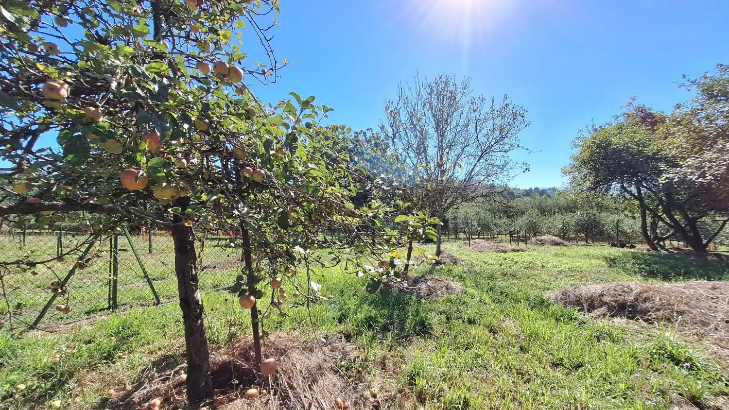 Finca rústica en venda a Las Regueras