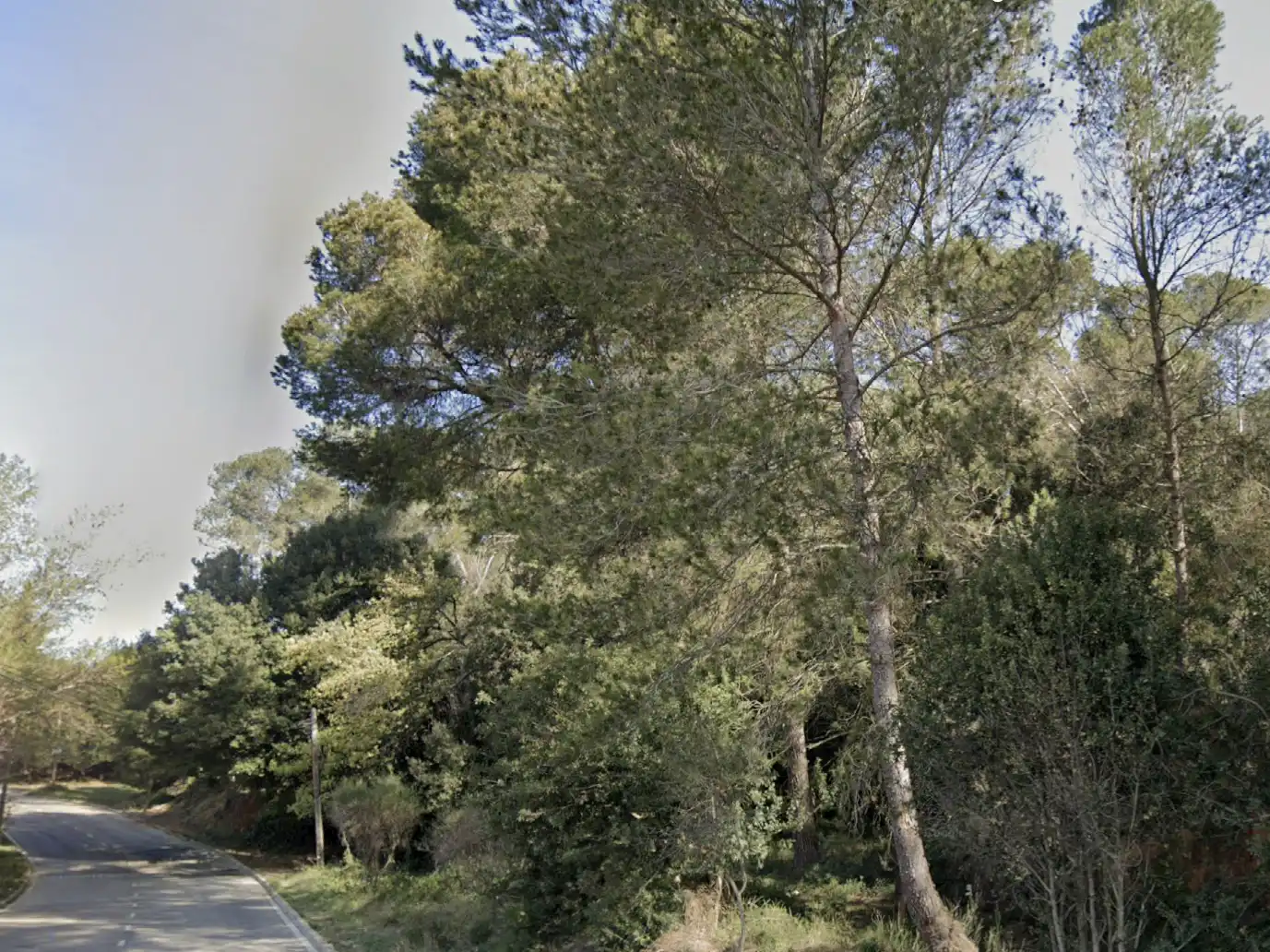 Terreno residenziale in vendita a Golf - Can Trabal, imagen 22