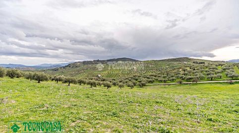 Terrenos en venta en Alozaina