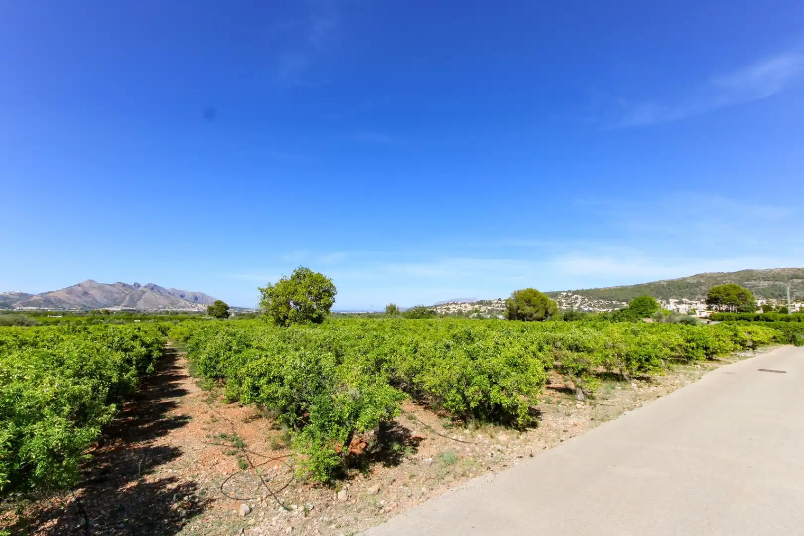Residential land for sale in Orba, imagen 2