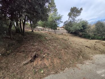Terreno residenziale in vendita a La Floresta