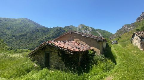 BAJADA DE PRECIO!! UNA CABAÑA, DOS CUADRAS,  Y FINCA EN CUEVAS, PARA REFORMA CON AGUA DE MANANTIAL,  FELECHOSA ALLER, image 2
