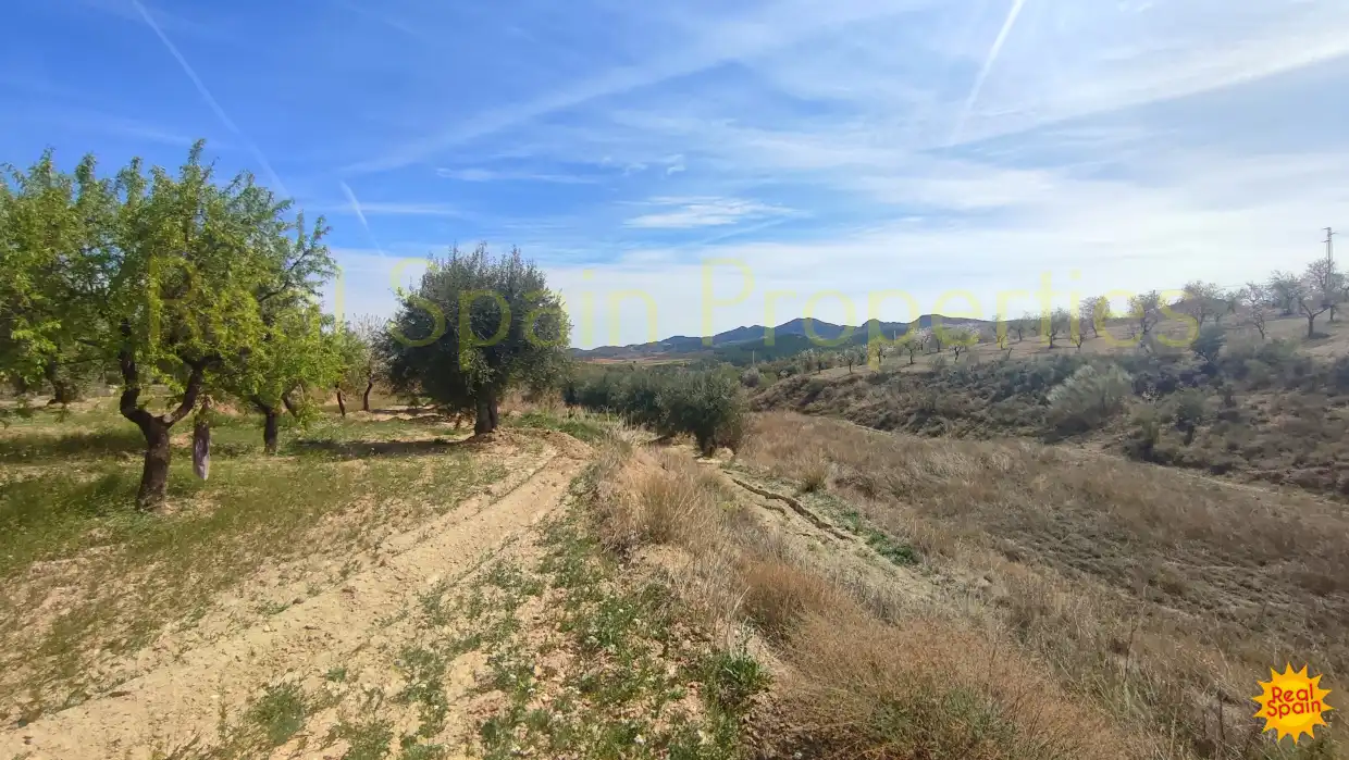 Residential land for sale in Vélez-Rubio, imagen 18