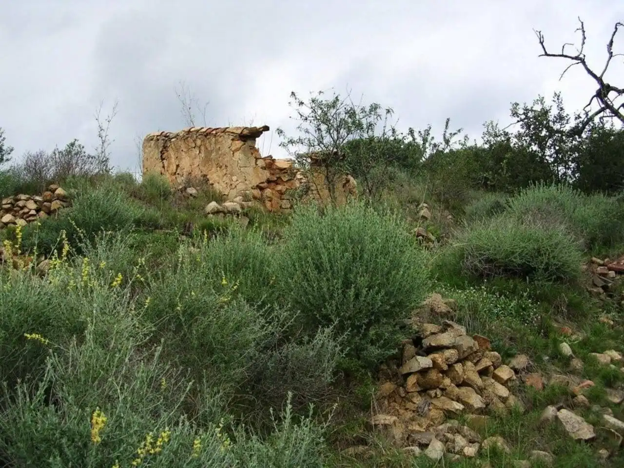 Terreno rustico in vendita a Calle MESTRAL, imagen 5