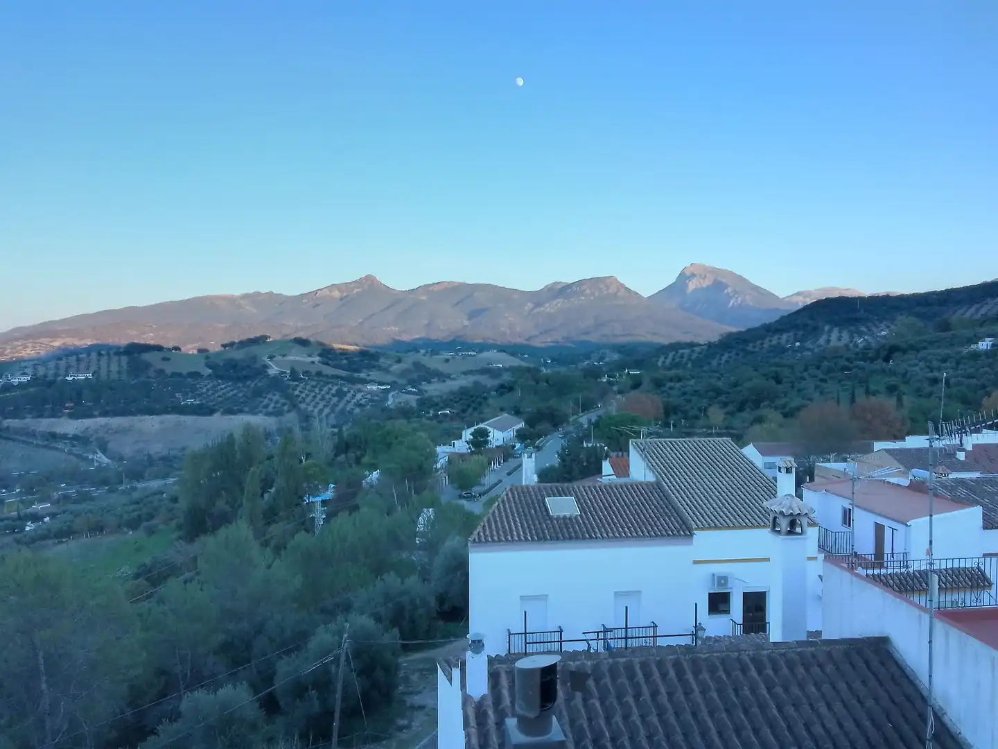 Vista exterior de Casa o chalet en venta en Prado del Rey con Jardín privado, Terraza y Amueblado